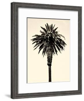 Palm Tree 1996 (Tan)-Erik Asla-Framed Photographic Print