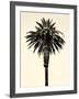 Palm Tree 1996 (Tan)-Erik Asla-Framed Photographic Print