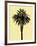 Palm Tree 1996 (Yellow)-Erik Asla-Framed Photographic Print