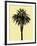 Palm Tree 1996 (Yellow)-Erik Asla-Framed Photographic Print