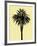 Palm Tree 1996 (Yellow)-Erik Asla-Framed Photographic Print