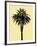 Palm Tree 1996 (Yellow)-Erik Asla-Framed Photographic Print