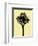 Palm Tree 1996 (Yellow)-Erik Asla-Framed Photographic Print