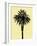 Palm Tree 1996 (Yellow)-Erik Asla-Framed Photographic Print