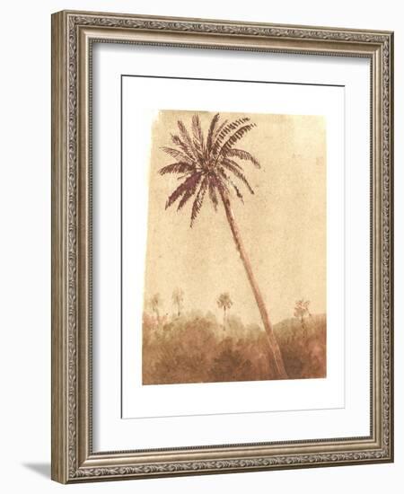 Palm Tree, 2015-Lincoln Seligman-Framed Giclee Print