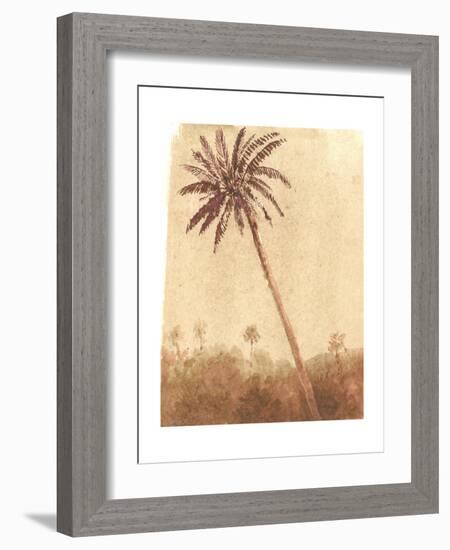 Palm Tree, 2015-Lincoln Seligman-Framed Giclee Print