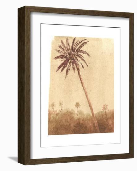 Palm Tree, 2015-Lincoln Seligman-Framed Giclee Print