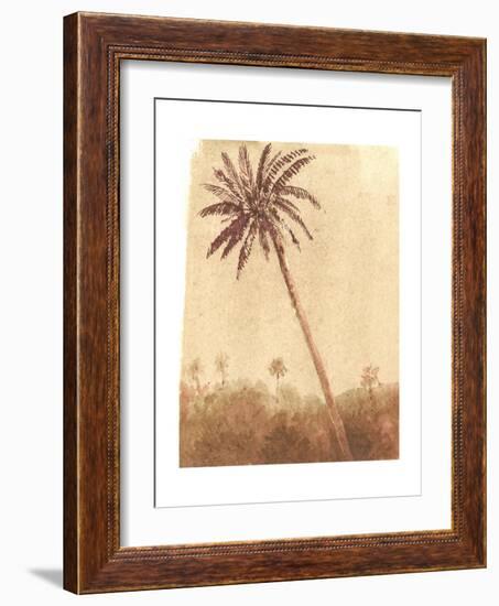 Palm Tree, 2015-Lincoln Seligman-Framed Giclee Print