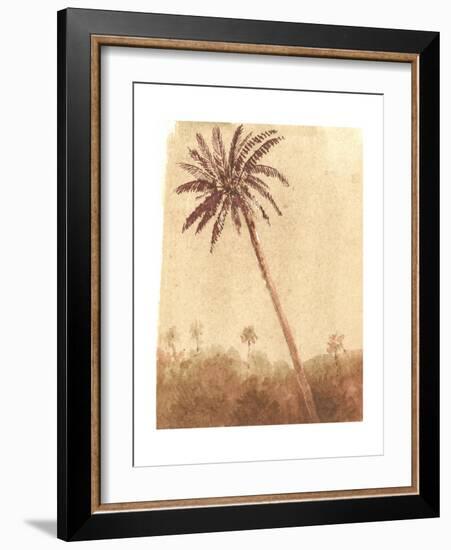 Palm Tree, 2015-Lincoln Seligman-Framed Giclee Print