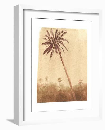 Palm Tree, 2015-Lincoln Seligman-Framed Giclee Print