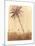 Palm Tree, 2015-Lincoln Seligman-Mounted Giclee Print