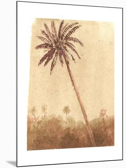 Palm Tree, 2015-Lincoln Seligman-Mounted Giclee Print