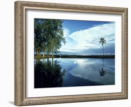 Palm Tree Alone, Big Island, Hawaii-Monte Nagler-Framed Photographic Print