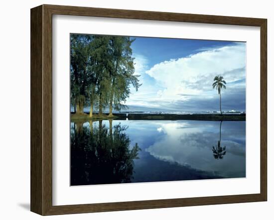 Palm Tree Alone, Big Island, Hawaii-Monte Nagler-Framed Photographic Print