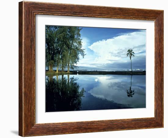 Palm Tree Alone, Big Island, Hawaii-Monte Nagler-Framed Photographic Print