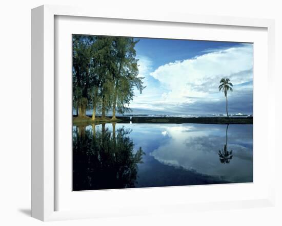 Palm Tree Alone, Big Island, Hawaii-Monte Nagler-Framed Photographic Print