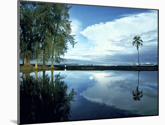 Palm Tree Alone, Big Island, Hawaii-Monte Nagler-Mounted Photographic Print