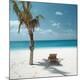 Premium Photographic Print