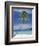 Palm Tree and Beach, Long Beach, Perhentian Kecil, Terenggenu (Terengganu), Malaysia-Robert Francis-Framed Photographic Print