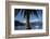 Palm Tree and Boats Moored in Picton Harbour, Marlborough Sounds, South Island, New Zealand-David Wall-Framed Photographic Print