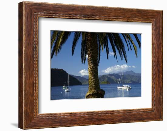 Palm Tree and Boats Moored in Picton Harbour, Marlborough Sounds, South Island, New Zealand-David Wall-Framed Photographic Print