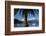 Palm Tree and Boats Moored in Picton Harbour, Marlborough Sounds, South Island, New Zealand-David Wall-Framed Photographic Print