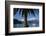 Palm Tree and Boats Moored in Picton Harbour, Marlborough Sounds, South Island, New Zealand-David Wall-Framed Photographic Print