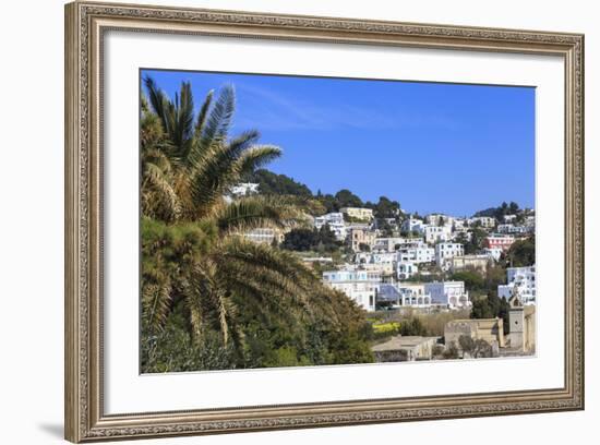 Palm Tree and Certosa Di San Giacomo (Monastery) with Skyline of Capri Town, Capri, Campania, Italy-Eleanor Scriven-Framed Photographic Print