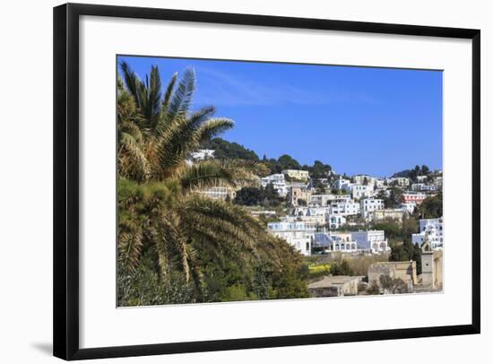 Palm Tree and Certosa Di San Giacomo (Monastery) with Skyline of Capri Town, Capri, Campania, Italy-Eleanor Scriven-Framed Photographic Print