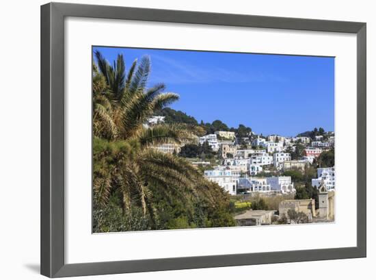 Palm Tree and Certosa Di San Giacomo (Monastery) with Skyline of Capri Town, Capri, Campania, Italy-Eleanor Scriven-Framed Photographic Print