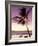 Palm Tree and Indian Ocean at Dusk, Maldives-Michele Westmorland-Framed Photographic Print