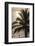 Palm Tree and Men at Sunset, Stone Town, Zanzibar, Tanzania-Alida Latham-Framed Photographic Print