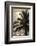 Palm Tree and Men at Sunset, Stone Town, Zanzibar, Tanzania-Alida Latham-Framed Photographic Print