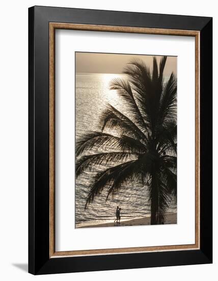 Palm Tree and Men at Sunset, Stone Town, Zanzibar, Tanzania-Alida Latham-Framed Photographic Print