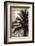 Palm Tree and Men at Sunset, Stone Town, Zanzibar, Tanzania-Alida Latham-Framed Photographic Print