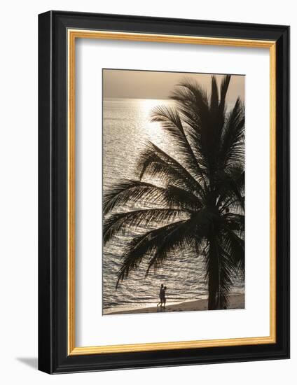 Palm Tree and Men at Sunset, Stone Town, Zanzibar, Tanzania-Alida Latham-Framed Photographic Print