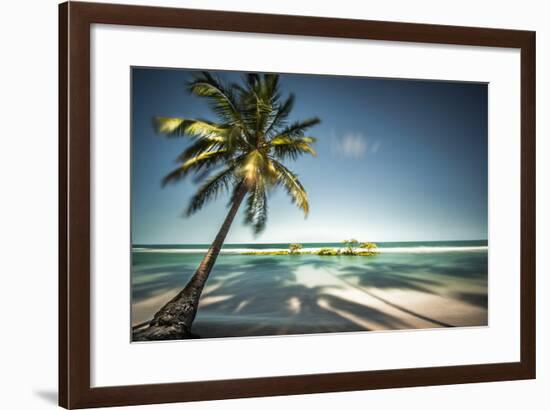 Palm Tree and Shadows on a Tropical Beach, Praia Dos Carneiros, Brazil-Dantelaurini-Framed Photographic Print