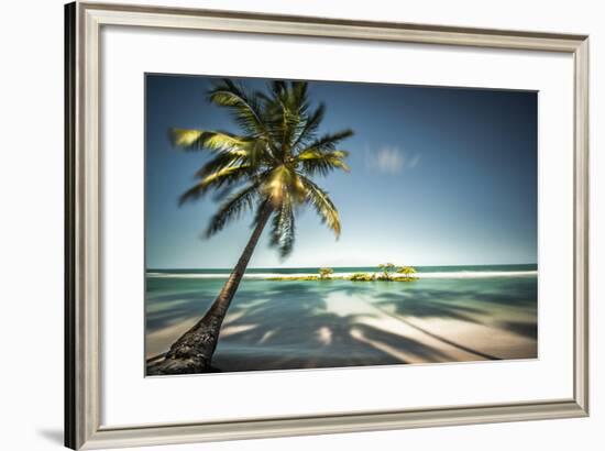 Palm Tree and Shadows on a Tropical Beach, Praia Dos Carneiros, Brazil-Dantelaurini-Framed Photographic Print