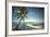 Palm Tree and Shadows on a Tropical Beach, Praia Dos Carneiros, Brazil-Dantelaurini-Framed Photographic Print