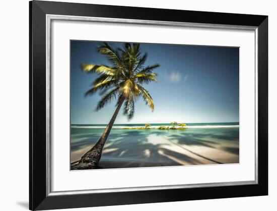 Palm Tree and Shadows on a Tropical Beach, Praia Dos Carneiros, Brazil-Dantelaurini-Framed Photographic Print