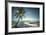 Palm Tree and Shadows on a Tropical Beach, Praia Dos Carneiros, Brazil-Dantelaurini-Framed Photographic Print