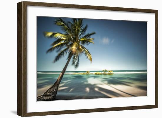 Palm Tree and Shadows on a Tropical Beach, Praia Dos Carneiros, Brazil-Dantelaurini-Framed Photographic Print