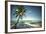 Palm Tree and Shadows on a Tropical Beach, Praia Dos Carneiros, Brazil-Dantelaurini-Framed Photographic Print