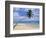 Palm Tree and Surfer, Hikkaduwa Beach, Island of Sri Lanka, Indian Ocean, Asia-Yadid Levy-Framed Photographic Print