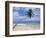 Palm Tree and Surfer, Hikkaduwa Beach, Island of Sri Lanka, Indian Ocean, Asia-Yadid Levy-Framed Photographic Print