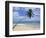 Palm Tree and Surfer, Hikkaduwa Beach, Island of Sri Lanka, Indian Ocean, Asia-Yadid Levy-Framed Photographic Print