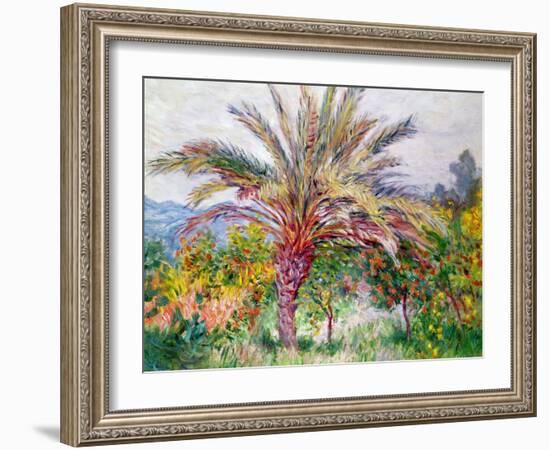 Palm Tree at Bordighera, C.1884-Claude Monet-Framed Giclee Print