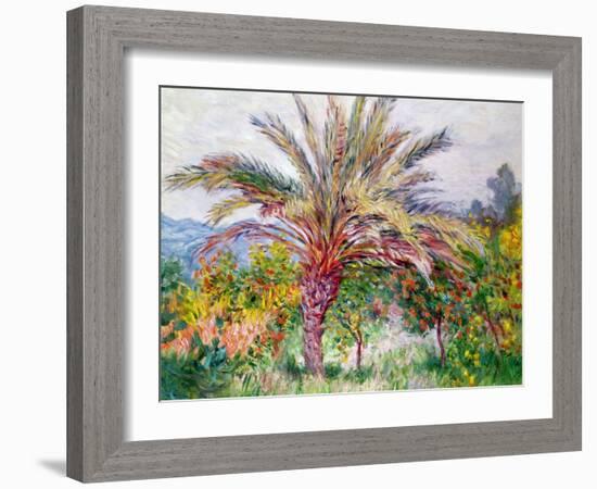 Palm Tree at Bordighera, C.1884-Claude Monet-Framed Giclee Print