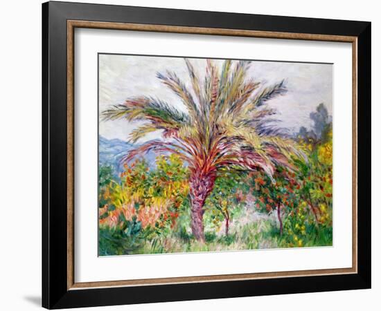 Palm Tree at Bordighera, C.1884-Claude Monet-Framed Giclee Print