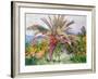 Palm Tree at Bordighera, C.1884-Claude Monet-Framed Giclee Print